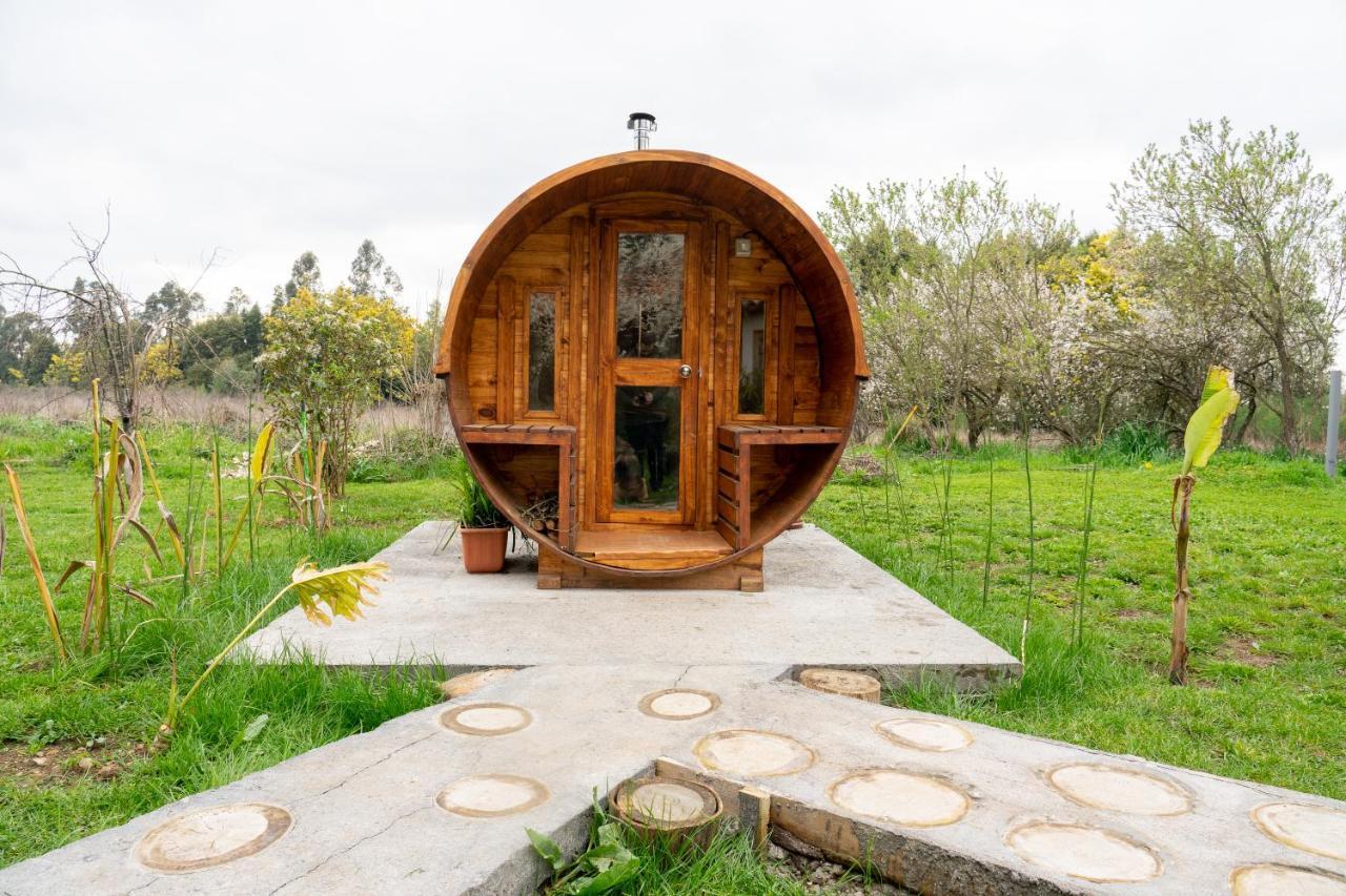 La Casa De Adobe Natural Y Mas Bulnes Bagian luar foto