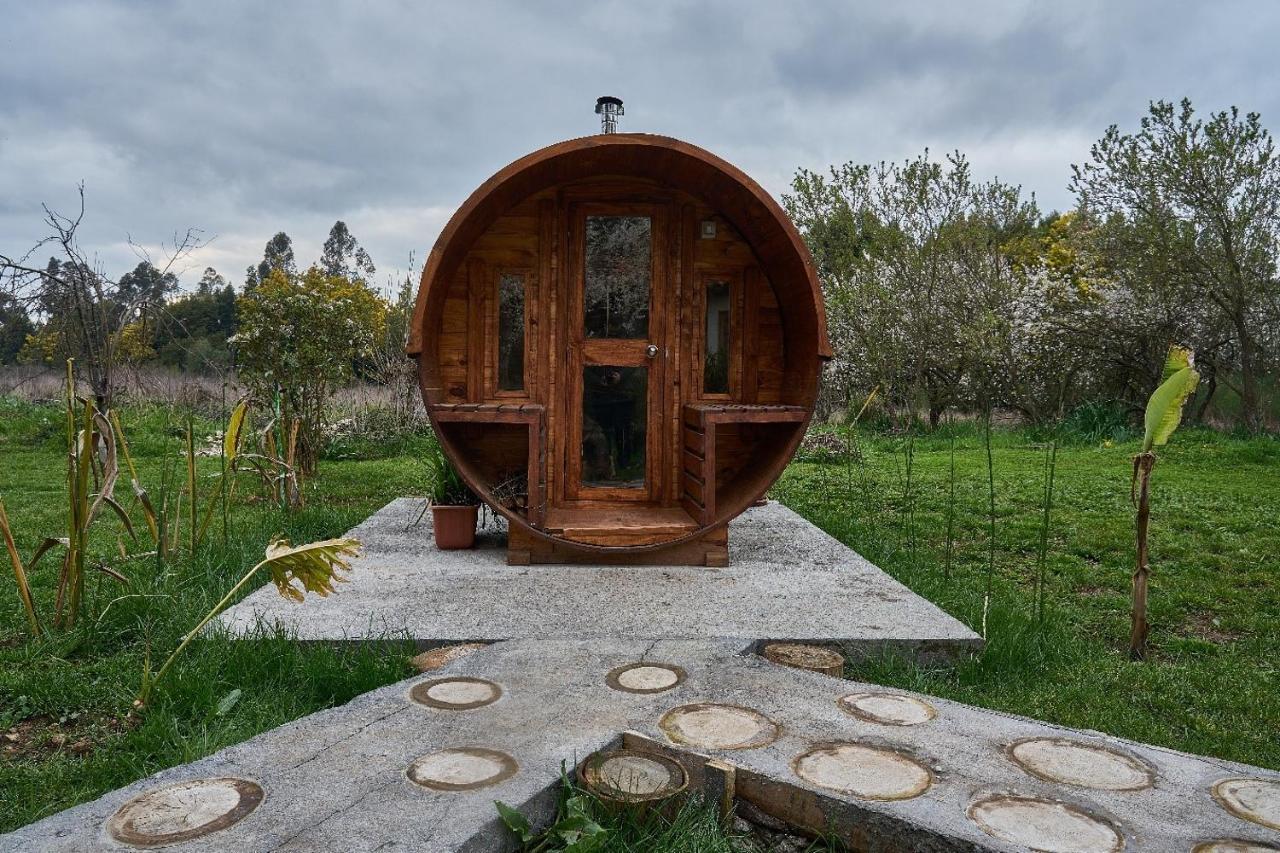 La Casa De Adobe Natural Y Mas Bulnes Bagian luar foto